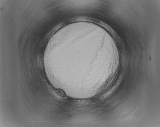 X0000072980857200608211348