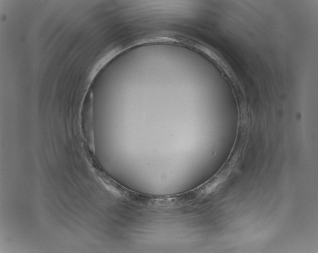 X0000072980858200608211348