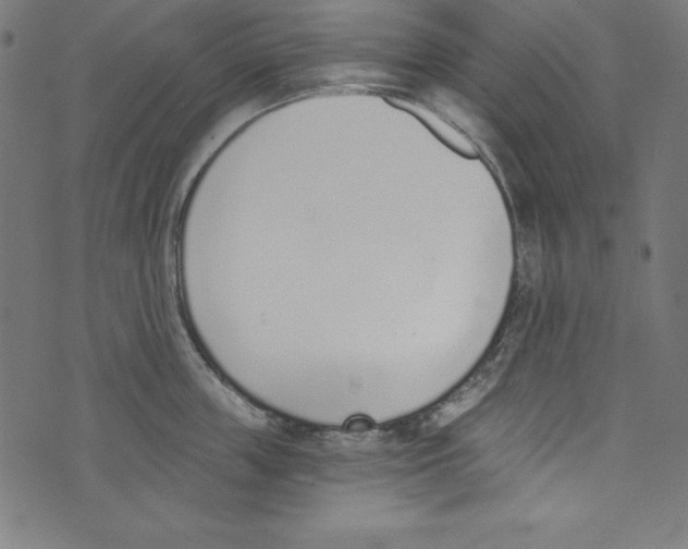 X0000072980859200608211348