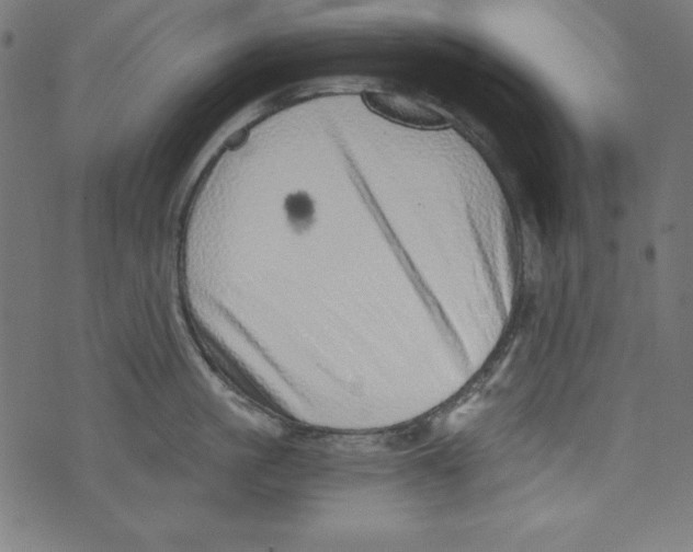 X0000072980861200608211348