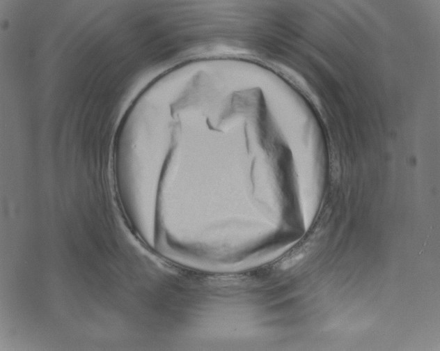 X0000072980863200608211348