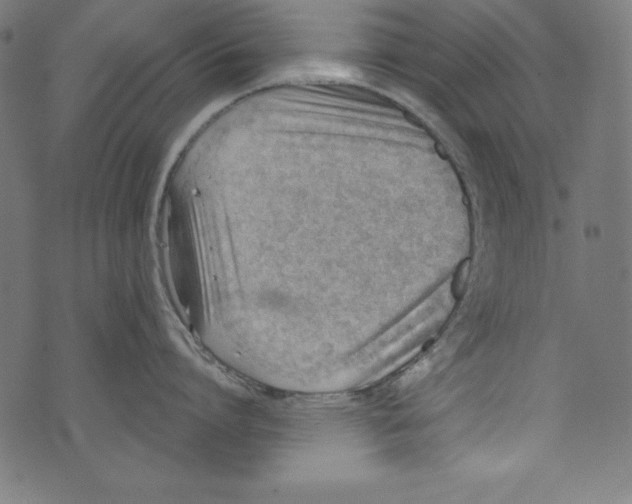 X0000072980864200608211348