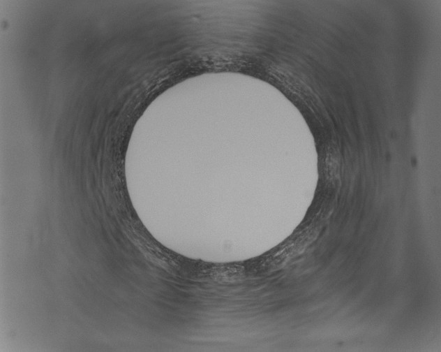 X0000072980865200608211347