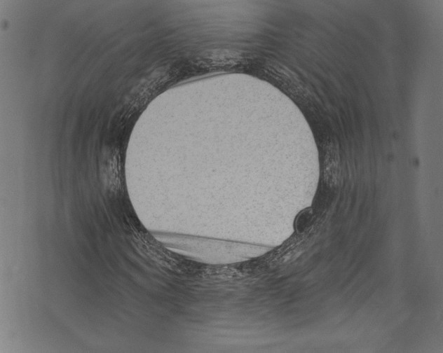 X0000072980866200608211347