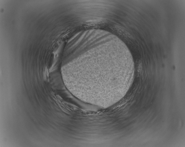 X0000072980868200608211347