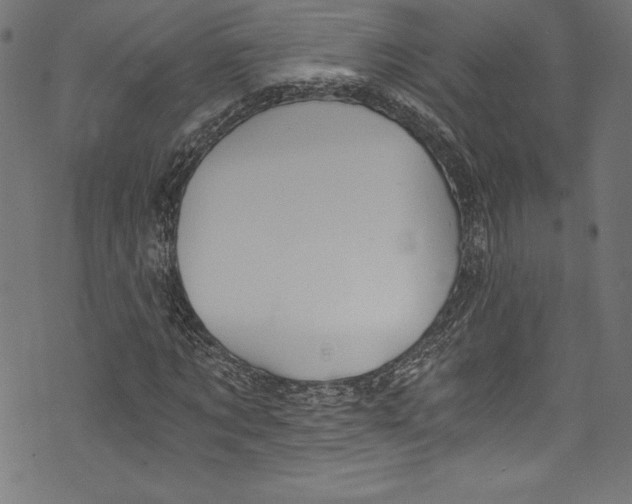 X0000072980869200608211347