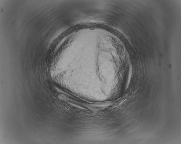 X0000072980871200608211347