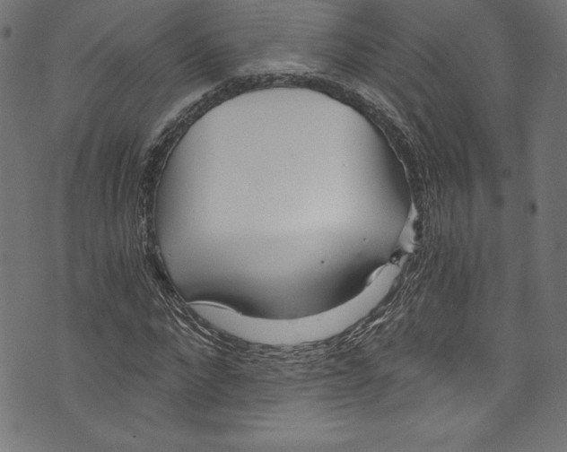 X0000072980872200608211347