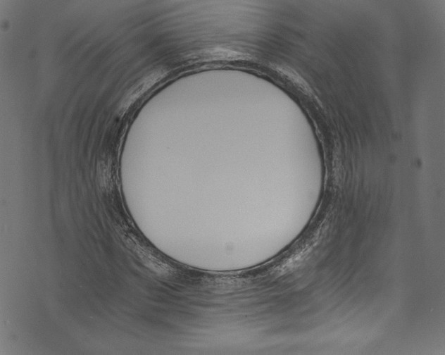 X0000072980873200608211347