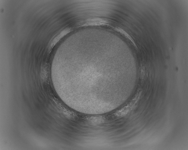 X0000072980874200608211347