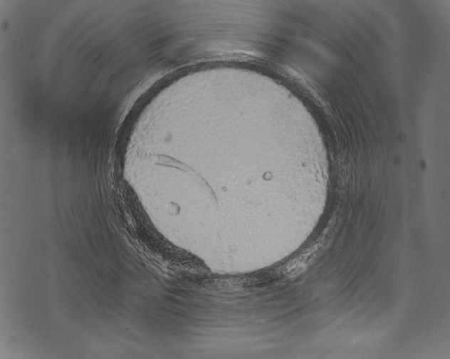 X0000072980875200608211347