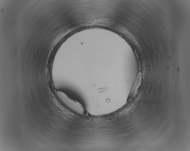 X0000072980876200608211347