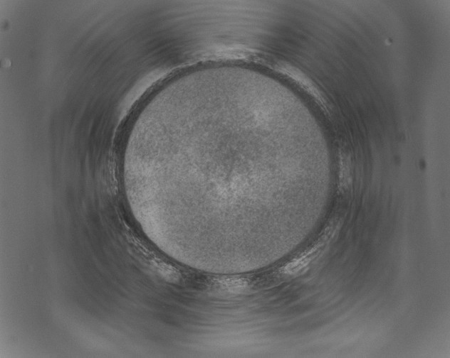 X0000072980878200608211347