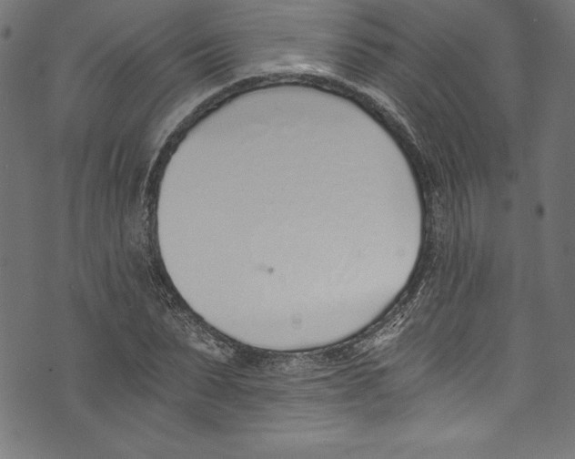 X0000072980879200608211347