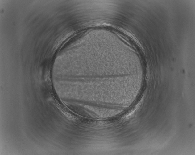 X0000072980881200608211347