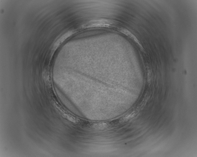 X0000072980882200608211347