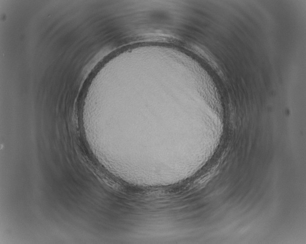 X0000072980883200608211347