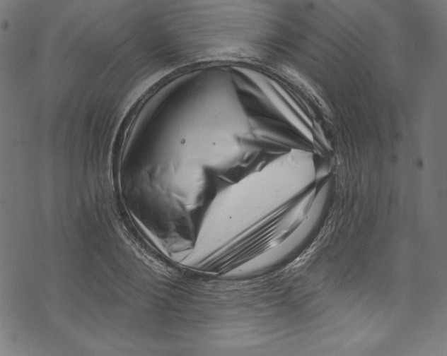 X0000072980884200608211347