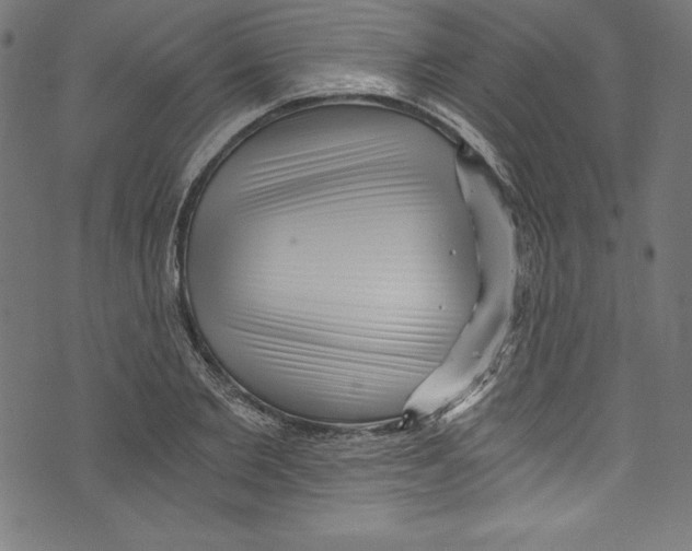 X0000072980885200608211347