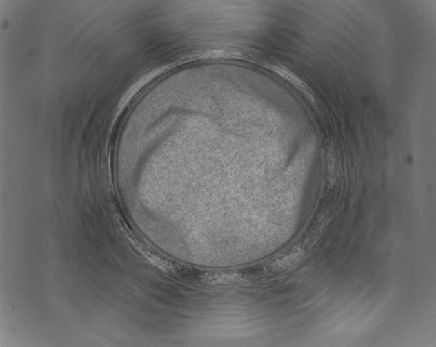 X0000072980886200608211347