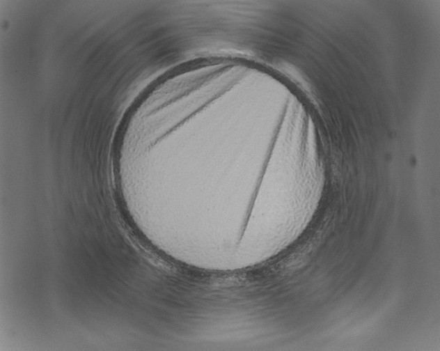 X0000072980887200608211347