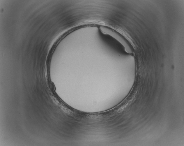 X0000072980888200608211347