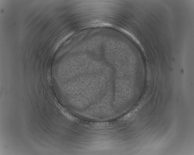 X0000072980889200608211347