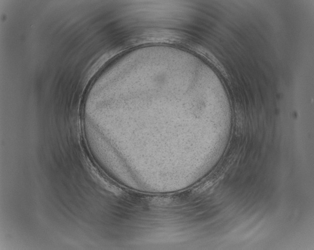 X0000072980890200608211347