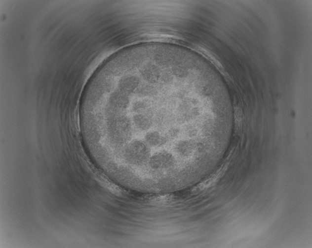 X0000072980891200608211347