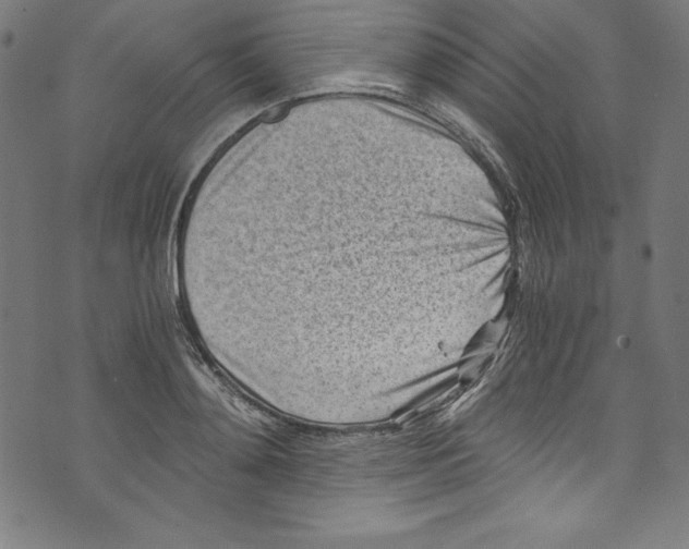 X0000072980892200608211347