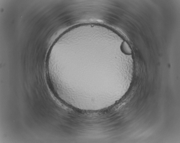 X0000072980895200608211347