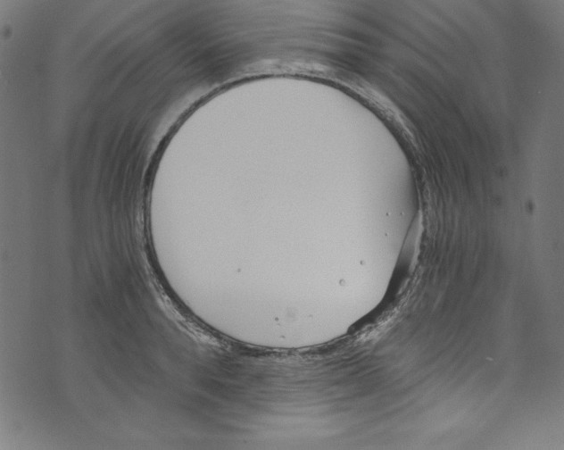 X0000072980896200608211347