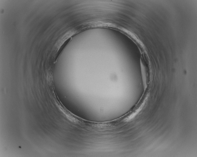 X0000072980897200608211347