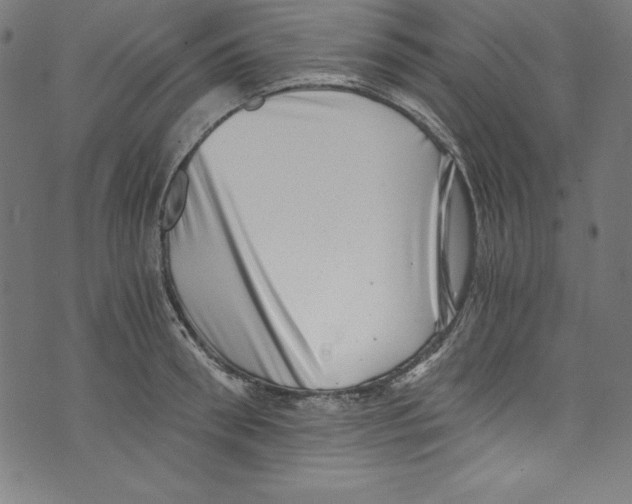 X0000072980898200608211347