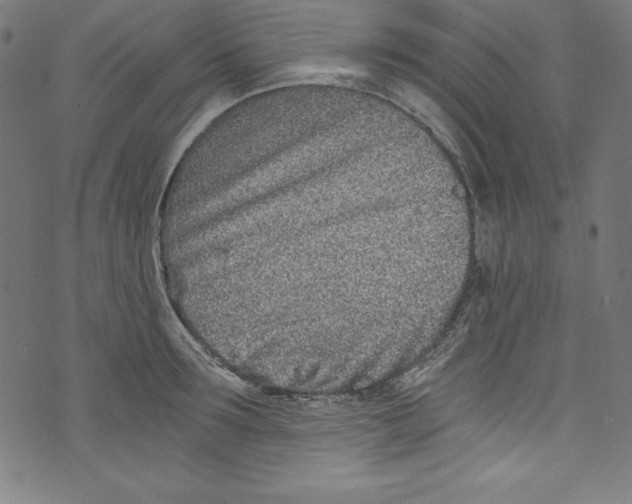 X0000072980899200608211347