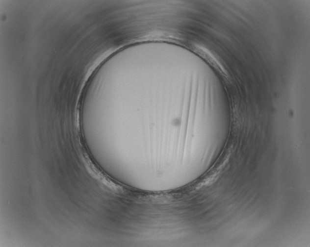 X0000072980900200608211347