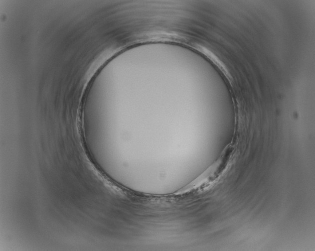 X0000072980901200608211347