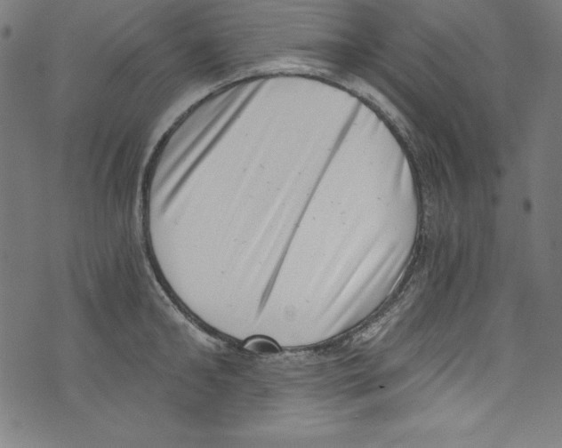 X0000072980902200608211347