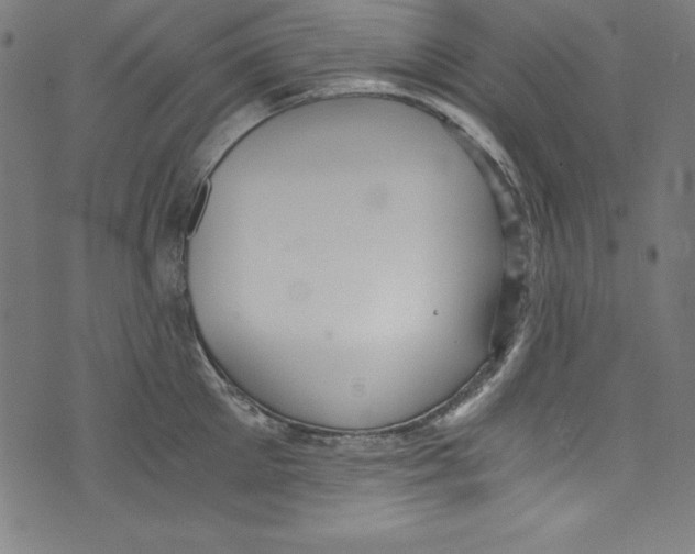 X0000072980905200608211346