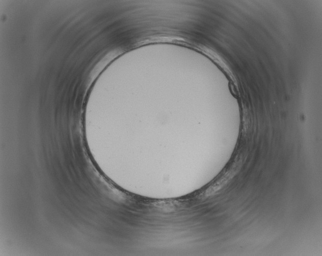 X0000072980906200608211346