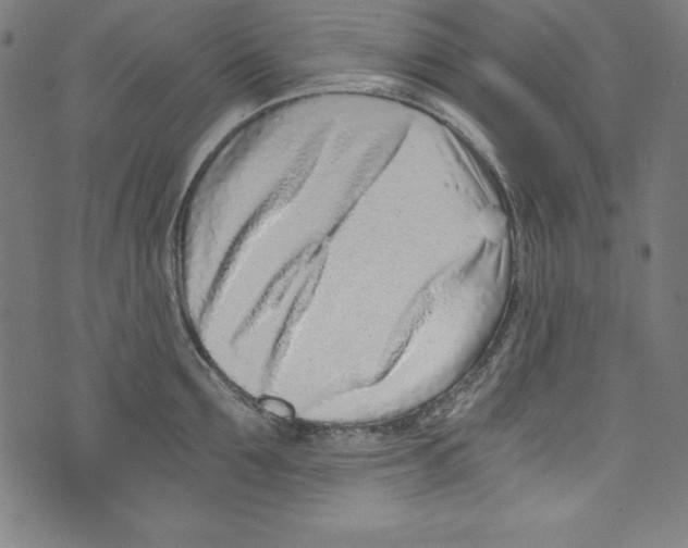 X0000072980907200608211346