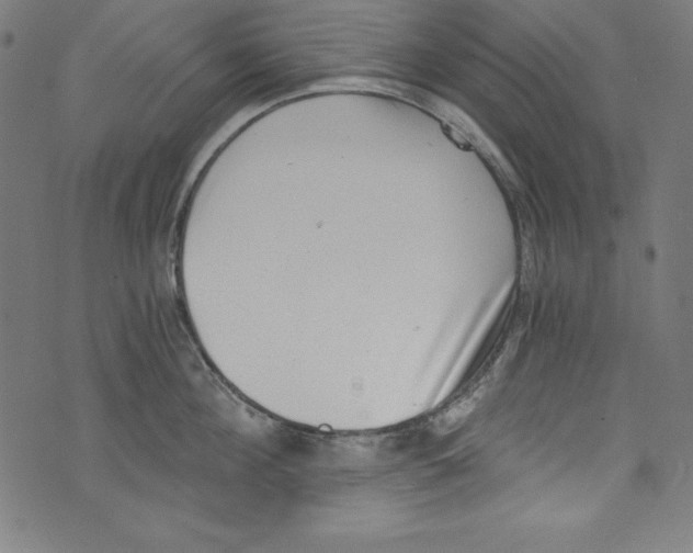 X0000072980908200608211346