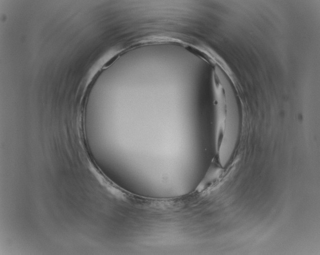 X0000072980909200608211346