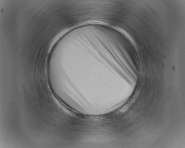 X0000072980910200608211346