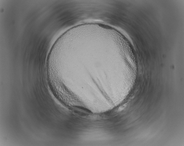 X0000072980911200608211346