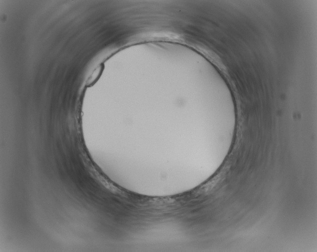 X0000072980912200608211346