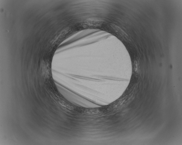 X0000072980915200608211346