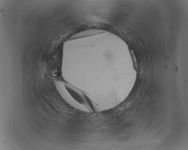 X0000072980916200608211346