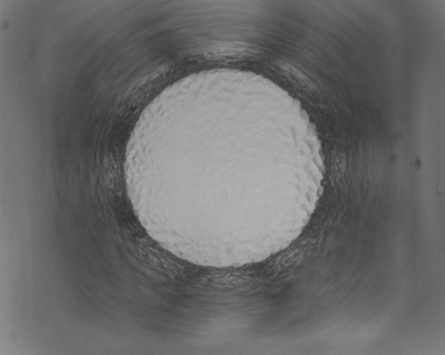 X0000072980917200608211346