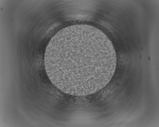 X0000072980918200608211346